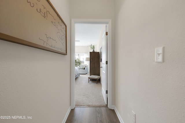 hall with hardwood / wood-style flooring