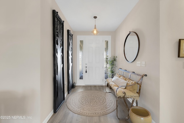 entrance foyer featuring light hardwood / wood-style floors