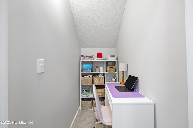 laundry area featuring light colored carpet and a textured ceiling