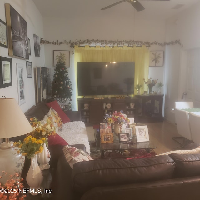 living room with ceiling fan