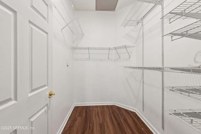 walk in closet featuring hardwood / wood-style flooring