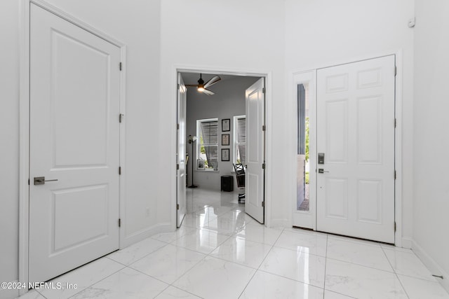 foyer with a towering ceiling and a wealth of natural light