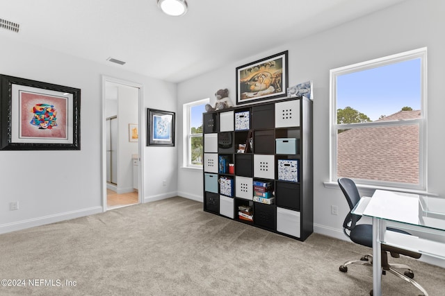 view of carpeted office