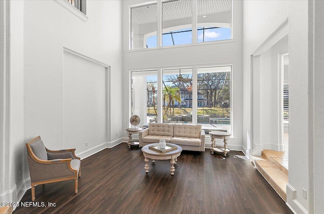 living area featuring a towering ceiling and dark wood-type flooring