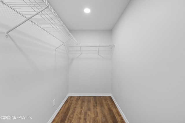 walk in closet featuring dark hardwood / wood-style floors