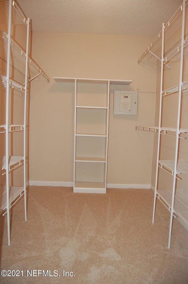 spacious closet with carpet