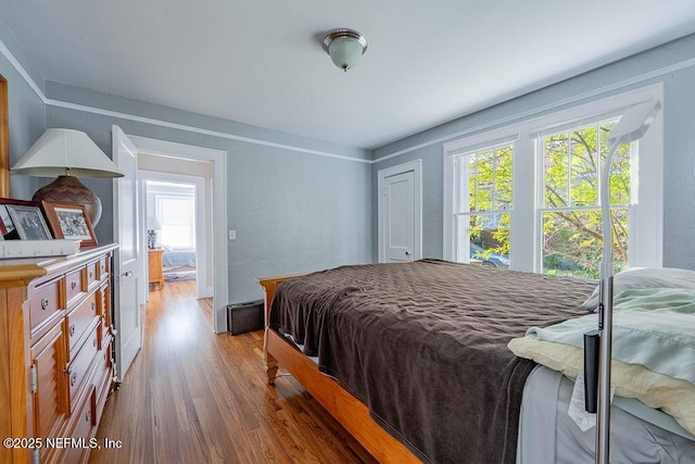 bedroom featuring multiple windows and hardwood / wood-style floors