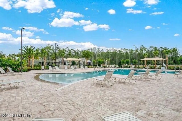 view of pool with a patio area