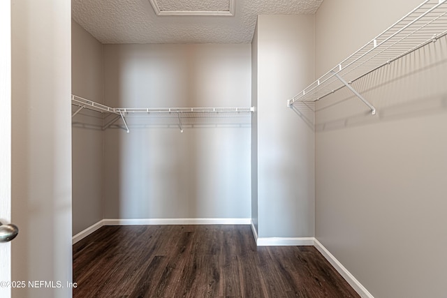 walk in closet featuring dark hardwood / wood-style floors