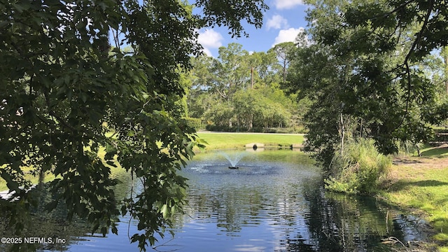 view of water feature