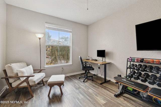 office space featuring hardwood / wood-style flooring