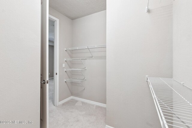 spacious closet with light colored carpet