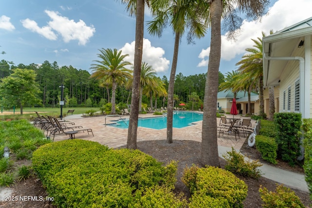 view of swimming pool with a patio area