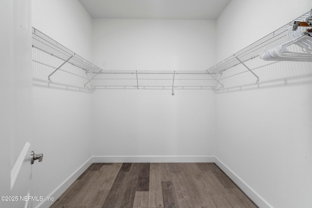 spacious closet with dark hardwood / wood-style flooring