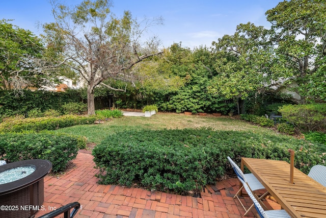 view of yard with a patio area