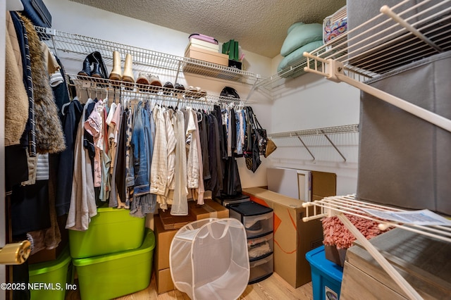 walk in closet featuring hardwood / wood-style flooring