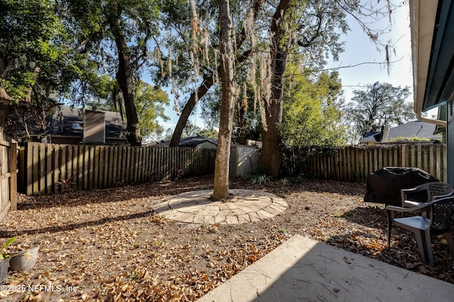 view of yard with a patio area