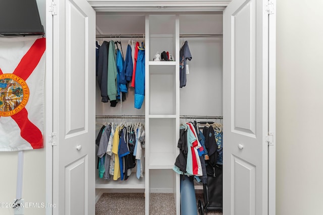 view of closet