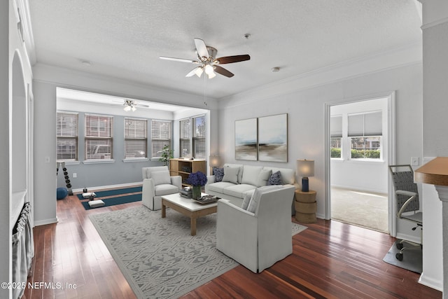 living room featuring dark wood-type flooring, ceiling fan, crown molding, and a textured ceiling