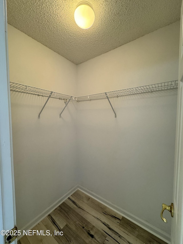 spacious closet with hardwood / wood-style flooring