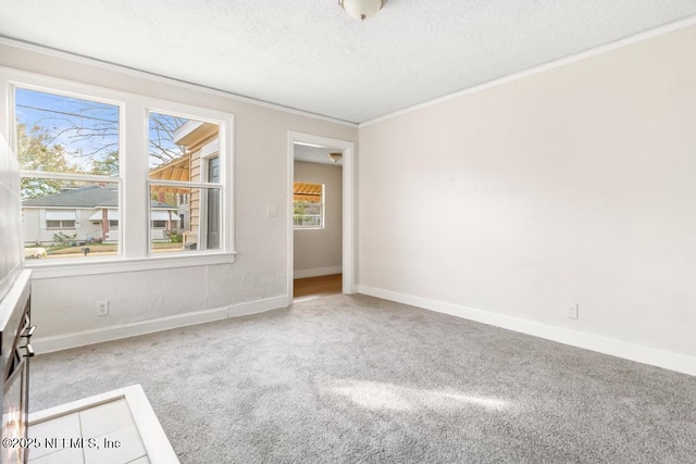 unfurnished room with crown molding, carpet floors, and a textured ceiling