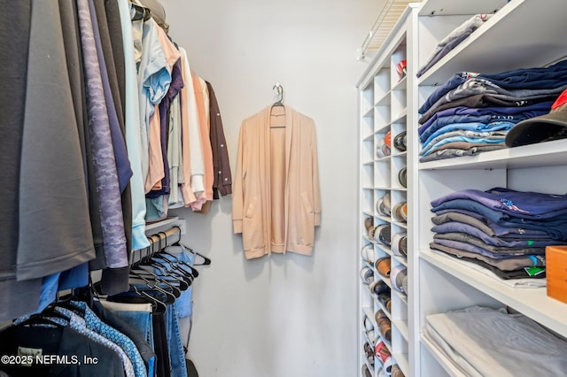 view of walk in closet