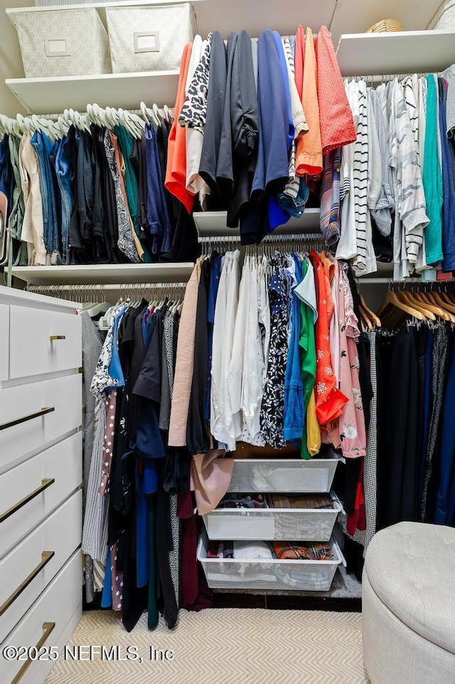 view of walk in closet