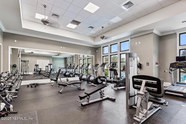 workout area featuring crown molding, a paneled ceiling, and a tray ceiling