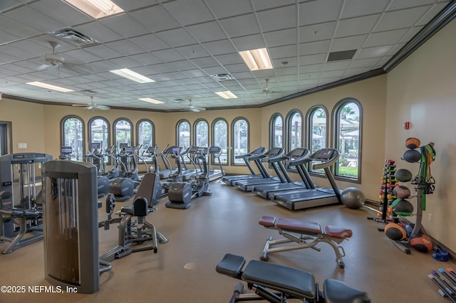 gym featuring crown molding, plenty of natural light, a paneled ceiling, and ceiling fan