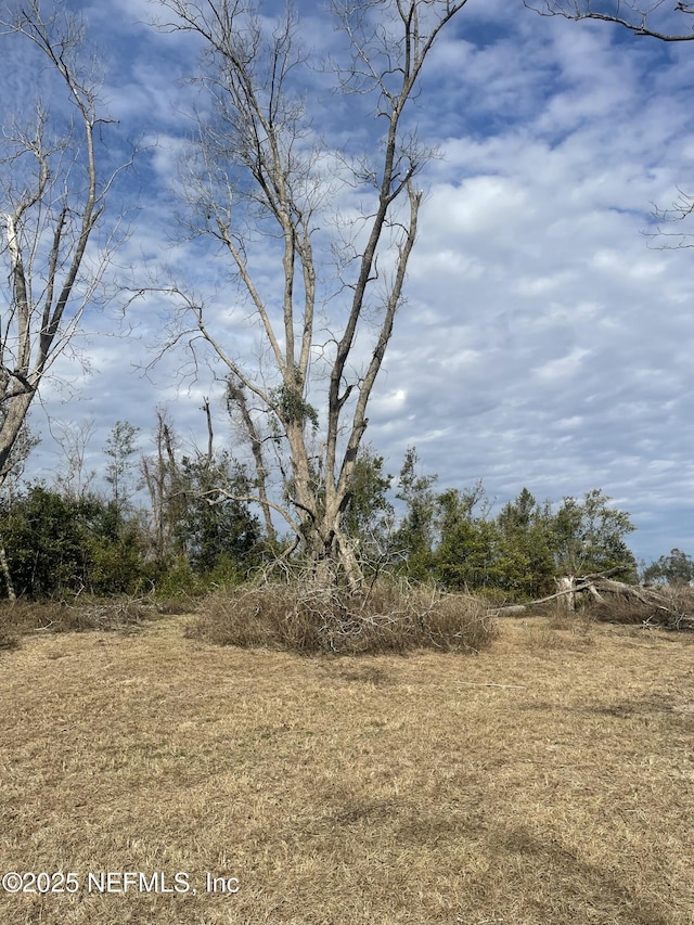 view of nature