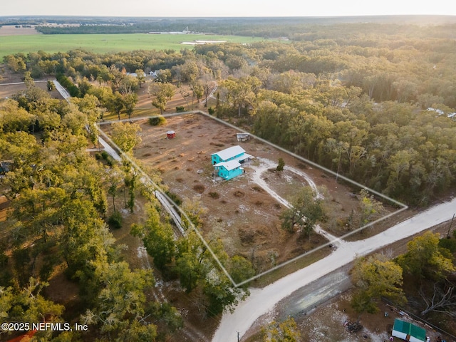 drone / aerial view featuring a rural view