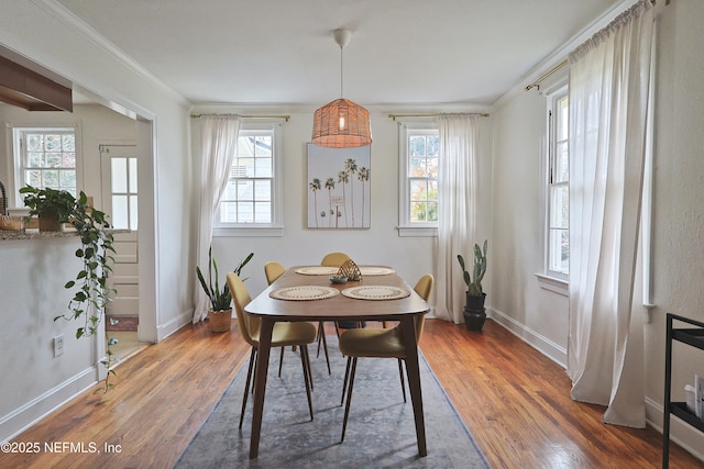 dining space featuring dark wood-type flooring and ornamental molding