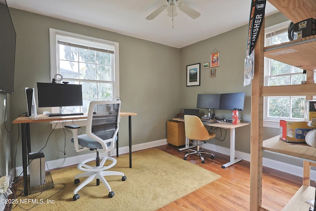 office space with ceiling fan, a healthy amount of sunlight, and wood-type flooring