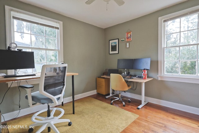 office with plenty of natural light, light hardwood / wood-style floors, and ceiling fan