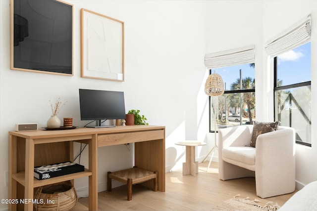 home office featuring light hardwood / wood-style flooring