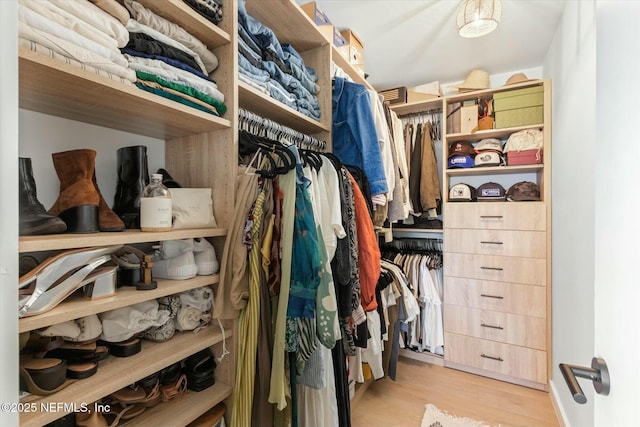 spacious closet with light hardwood / wood-style flooring