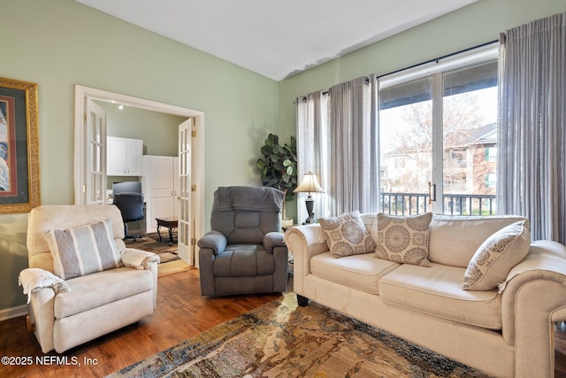 living room with wood-type flooring