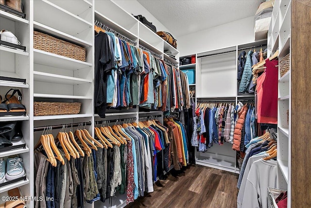 spacious closet featuring dark wood-type flooring