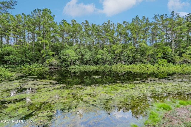 view of landscape with a water view