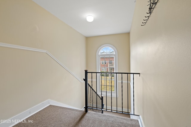 stairway featuring carpet