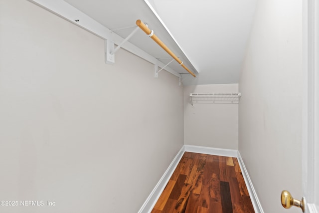 spacious closet featuring hardwood / wood-style floors