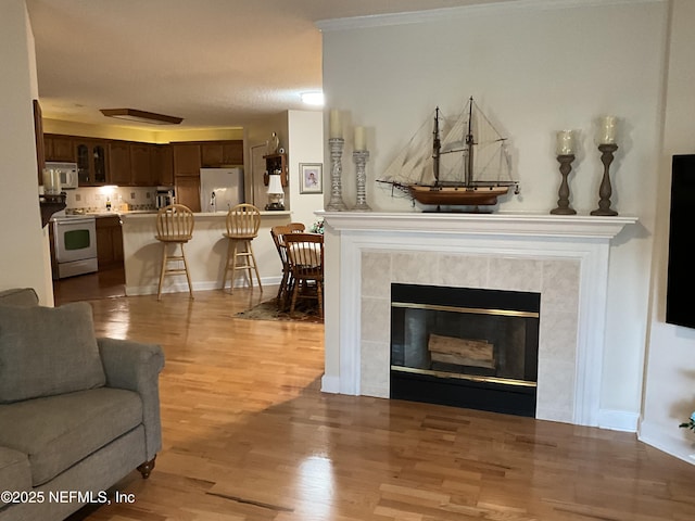 living room featuring a tiled fireplace and light wood-type flooring