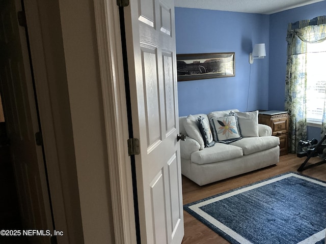 interior space featuring dark wood-type flooring