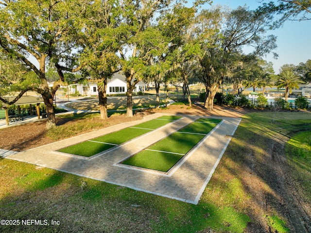 view of community featuring a yard