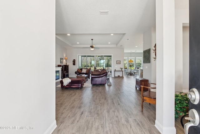 foyer entrance featuring a raised ceiling, ceiling fan, and light hardwood / wood-style floors