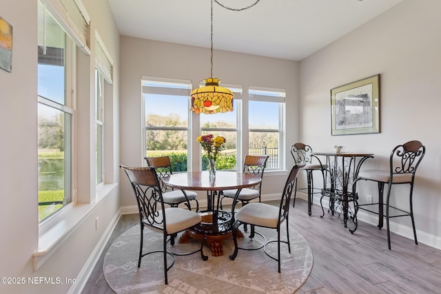 dining space featuring light hardwood / wood-style flooring