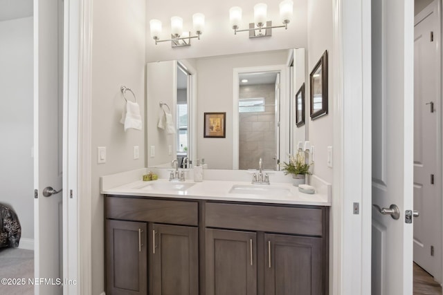 bathroom with vanity