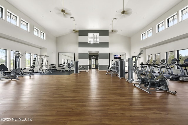 exercise room featuring dark hardwood / wood-style floors and ceiling fan