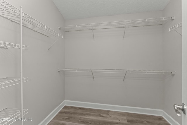 spacious closet featuring hardwood / wood-style flooring