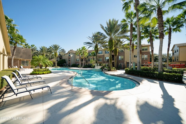 view of pool featuring a patio